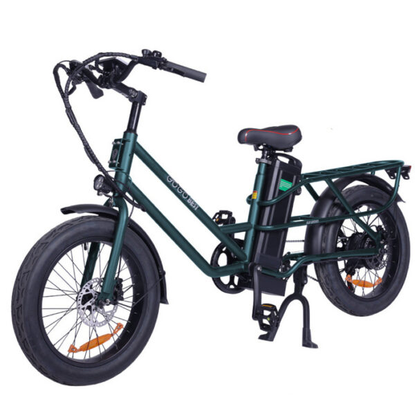 GOGOBEST GF200 vélo cargo électrique - Vert
